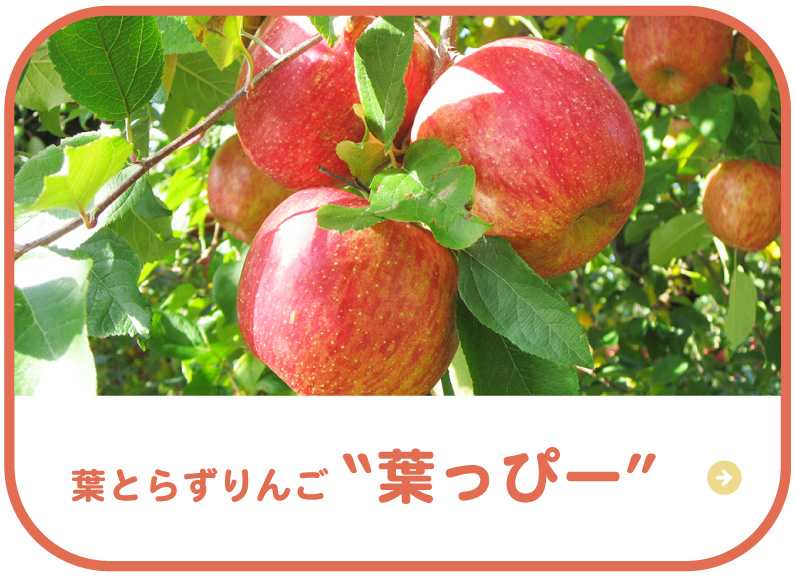 葉とらずりんご“葉っぴー”