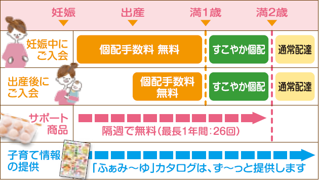 スケジュール