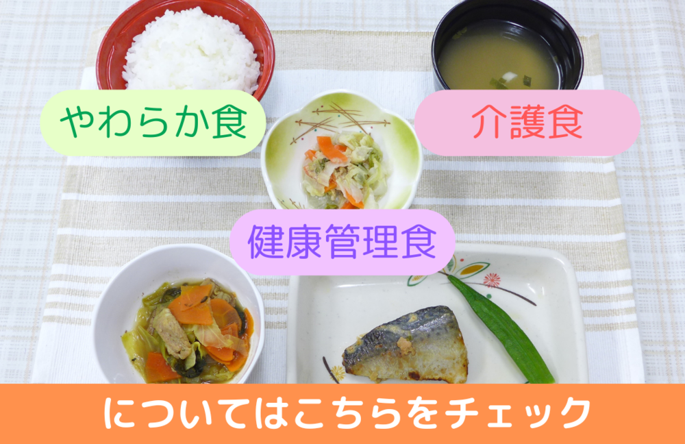 やわらか食介護職健康管理食